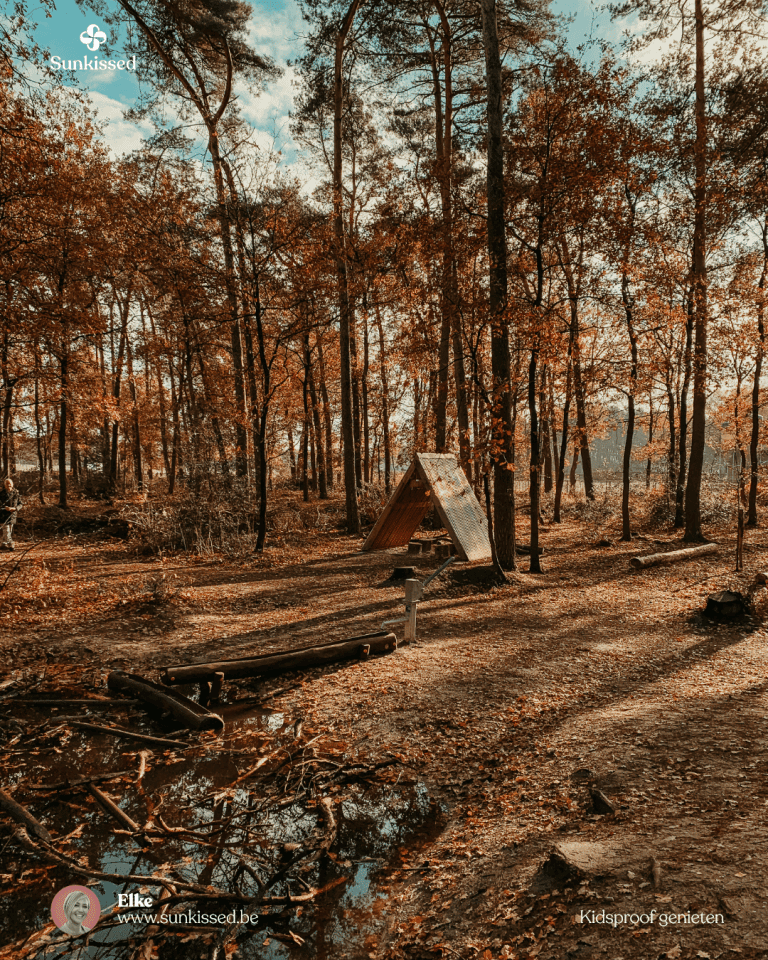 Op uitstap naar speelbos Joekelbos in Oudsbergen (Limburg)