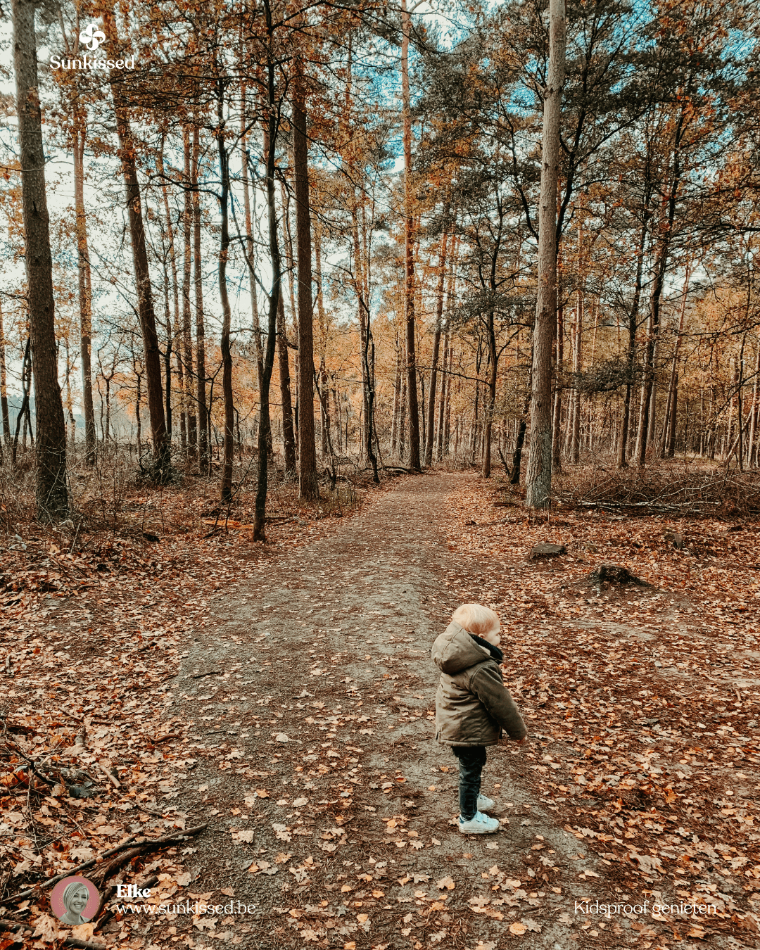 Op uitstap naar speelbos Joekelbos in Oudsbergen (Limburg)