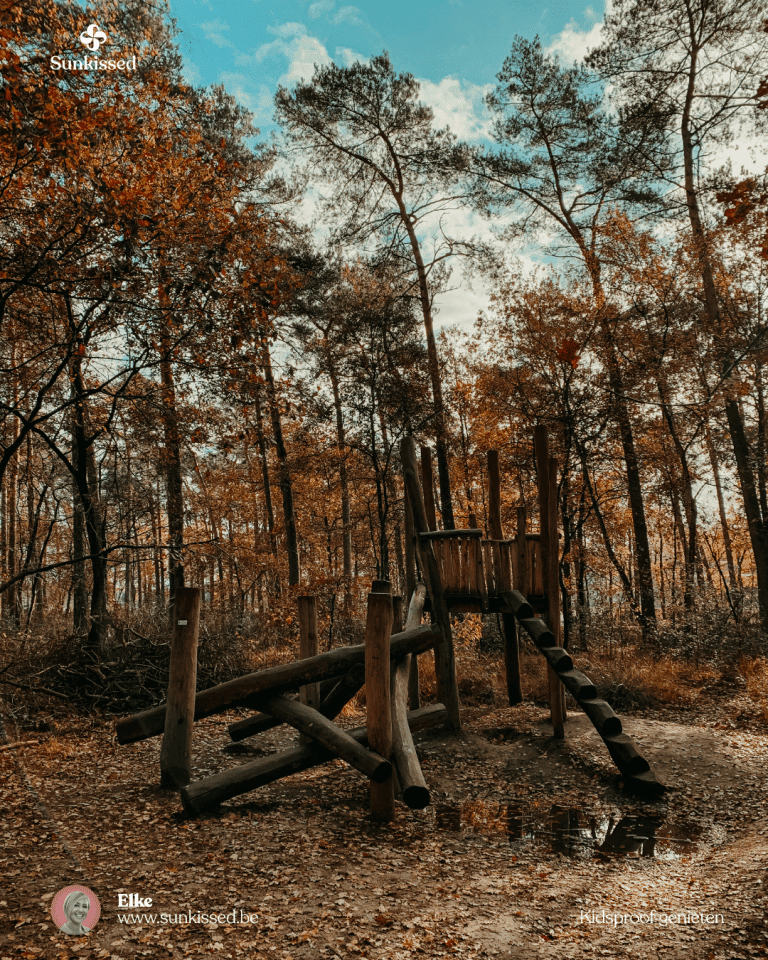 Op uitstap naar speelbos Joekelbos in Oudsbergen (Limburg)