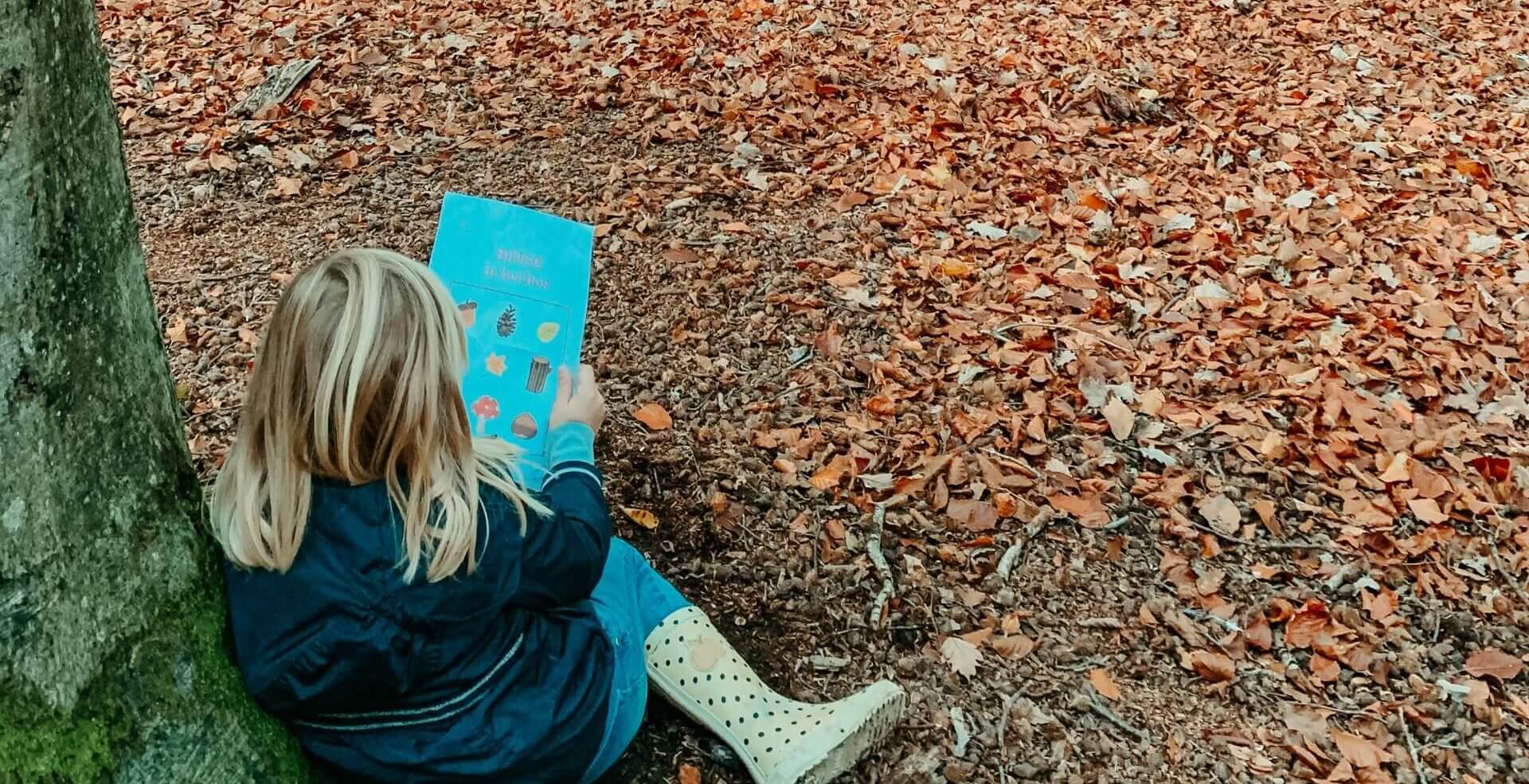 Lees meer over het artikel Herfst Bingo: maak een interactieve wandeling in het bos met je kids