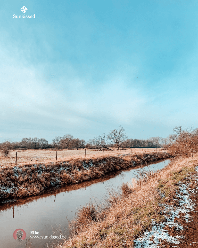 Wandeltip: Kidsproof Route In Het Mechels Broek - Barebeekvallei