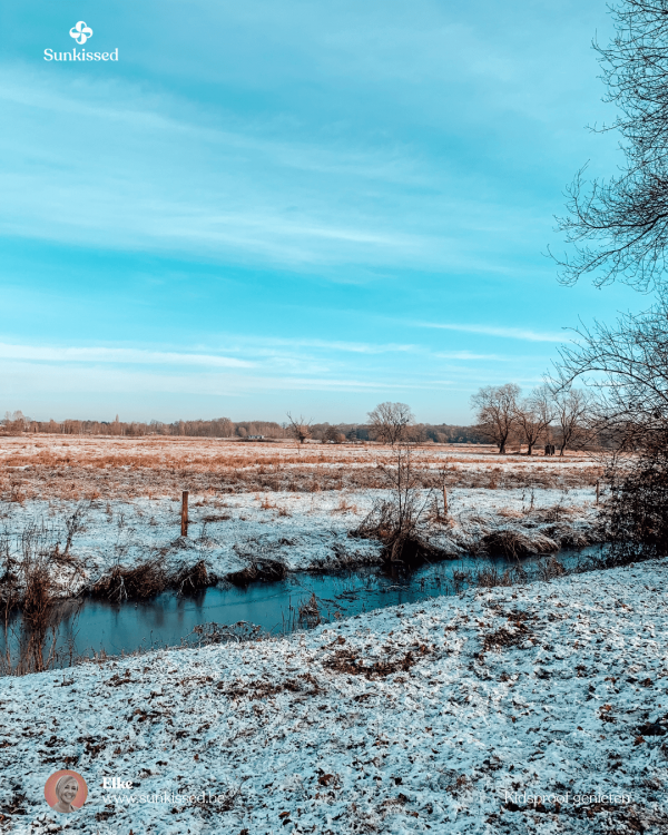 Wandeltip: Kidsproof Route In Het Mechels Broek - Barebeekvallei